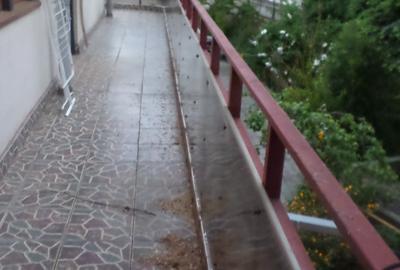 Apartament  spatios in  Vila noua, curte, multa verdeata, ultracentral, - 11