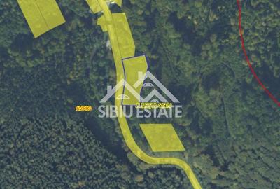 Oportunitate de investiție – Teren pentru hotel / pensiune pe Valea Avrigului - 3