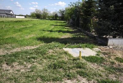 Teren agricol intravilan de 1198 mp, în Tărian