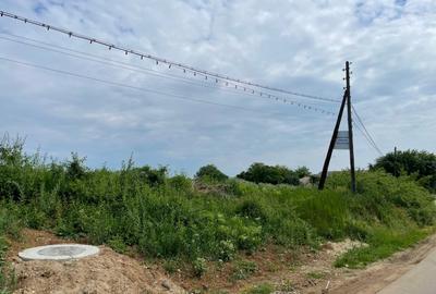 Teren Piscu intravilan,12500 mp, 15 euro mp, 30 m deschidere, toate utilitatile - 11