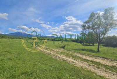 Teren de vânzare în Racovița, Sibiu – Valea Lupului - 5
