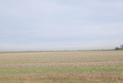 Ocazie ! GHERGHITA - nodul A3, 27 Ha. teren compact cu P.U.Z. aprobat - 3