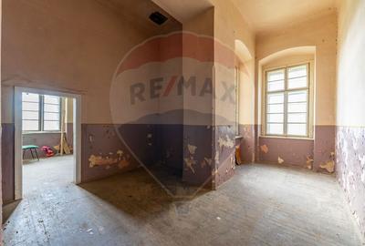 Conac aristocratic secolul XIX , domeniu  2,5 hectare — Păuliș, Arad - 16