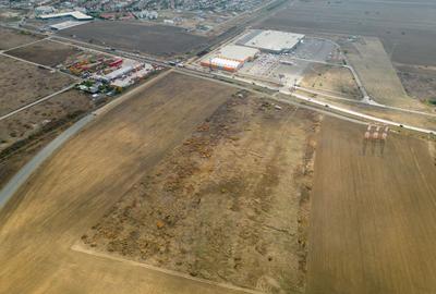Teren de 55.340 mp, vis-a-vis de Jumbo, Arad - 3
