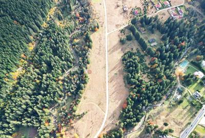 Poiana lui Manole - teren Intravilan - 31