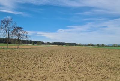 TEREN AGRICOL EXTRAVILAN - RECI - COVASNA - 3