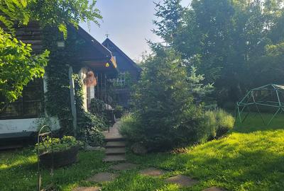 Vand 0.75 ha in Bazna cu 3 case, livada, gradina, pentru pensiune, camping... - 10