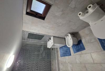 Casă P+1 golful Mraconia cu vedere la apă, 2 km de Chipul lui Decebal - 7