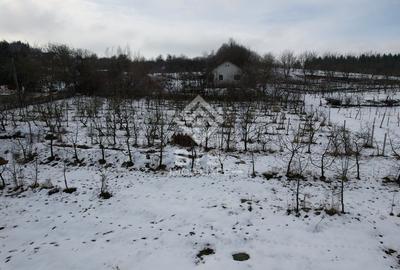 Teren Investitie Valea Jelnii - 7