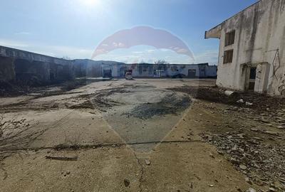 Spațiu industrial de 5,000mp de vânzare TULCEA 24.000MP intravilan - 16