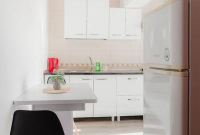 Apartament 2 camere de inchiriat I Blvd Unirii - 7