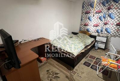 Două case individuale de vânzare în Teliuc –ideale pentru două familii - 10