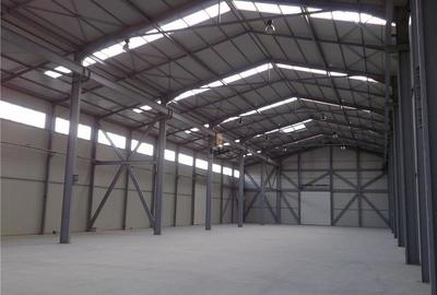 Spatiu Industrial - 425 mp - Logistica - Depozitare - Distributie - 4