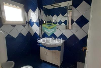 Zona DNCB Clinceni De inchiriat Hala C1 - 10