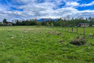 Teren Bran Zarnesti 3 km Castelul Bran 25 km Brasov - 1