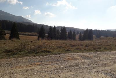 Teren cu Potential Turistic Major in Poiana Brasov - 1