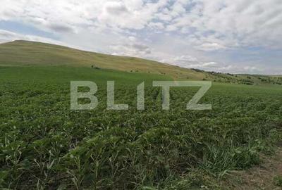 Teren 10.000mp extravilan Dumesti-Banu - 1