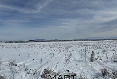 Teren Intravilan 425 mp Stupini - 1