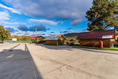 Proprietate Privata | Oltenesti Vaslui | Business la Cheie - 6