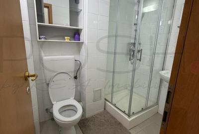 3 camere cu loc de parcare si boxa - Herăstrău - 10