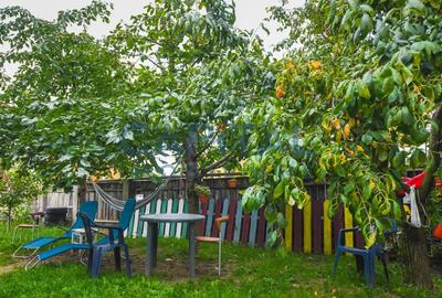 Casa de vanzare Zorilor - 33