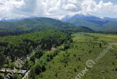 Teren intravilan 1000 mp de vanzare pe Valea Avriguluiu