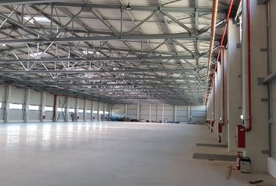Spatiu depozitare si productie 840 mp Soseaua de centura Otopeni - Odai - 2