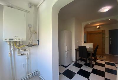 Crangasi,str. Fratilor,mobila noua in living si dormitor,centrala proprie,curat. - 8