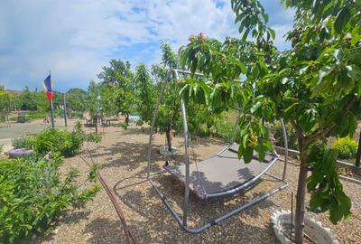 Proprietate unica Palazu Mare - 2 case , teren generos - 10