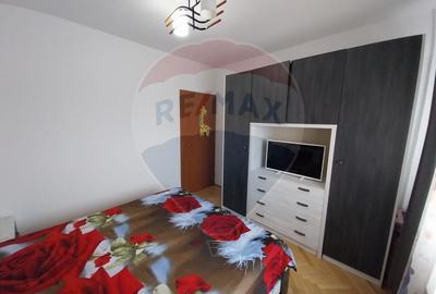 Apartament cu 3 camere  Promenada- Calea Severinului-Toporasi - 17