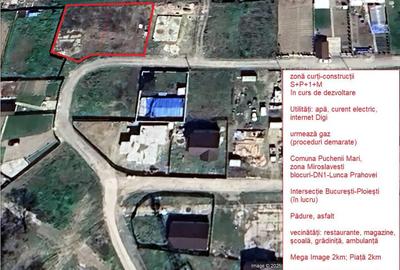 Intravilan curți-construcții lângă pădure, lângă Bucuresti, Ploiesti - 1