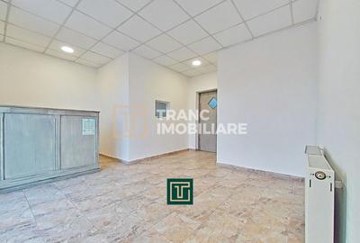 Apartament de vanzare la parter cu două intrări, Andrei Șaguna - Arad - 12