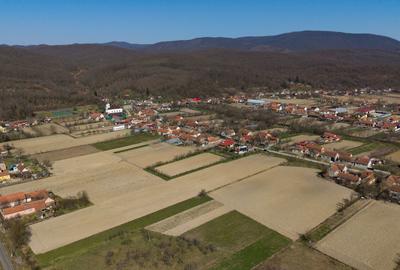 Loc de casă în Odvoș - Conop 3000mp - 17