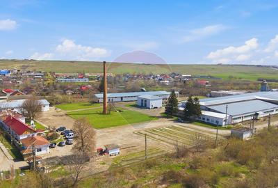 Teren Industrial de Vânzare 4.4 Ha - Zona industrială - Hârlău - 15