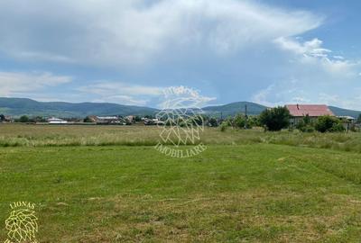 Teren 7200 mp-parcelabil-investitie-Sieu Magherus la 16 km de Bistrita - 1