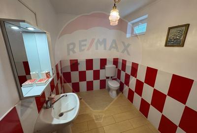 Casă / Vilă cu 6 camere de vânzare în zona Darmanesti - 54