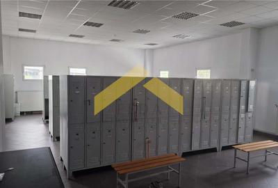 Hala industriala de vanzare in loc. Sfantul Gheorghe, jud. Covasna - 18