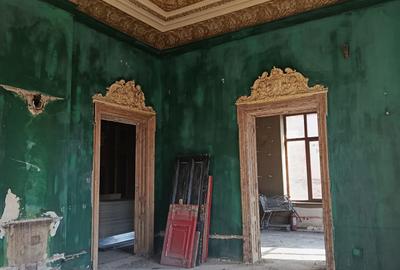 Vilă Interbelică Unică – 1180 mp,Ultracentral,Cartierul Evreiesc,Calea Călărasi - 10