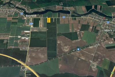 Teren intravilan 10.700 mp – Căciulați, Ilfov - 3