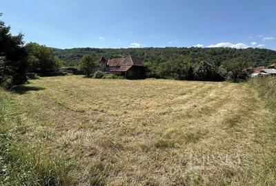 Teren cu casa veche in centrul localiatii Valea Draganului! - 4