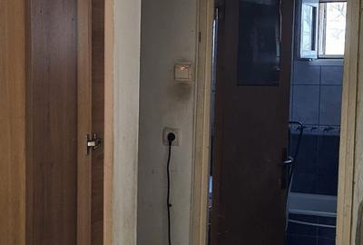 Vanzare apartament 2 camere Crangasi Parc - 2