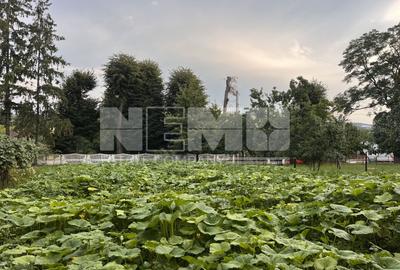 TEREN INTRAVILAN 10 ARI  I Rotopanesti/Suceava I 19.900Euro - 1