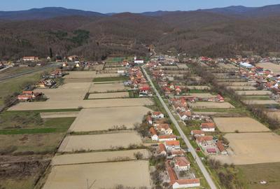 Loc de casă în Odvoș - Conop 3000mp - 10