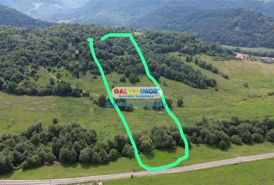 Vindem teren 20000 mp Cheile Rasnoavei - Brasov , pentru case vacanta - 2
