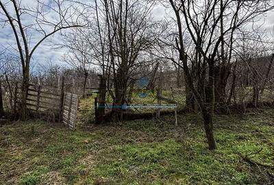 Casa individuala și în stare buna de vânzare în Ohaba - 5