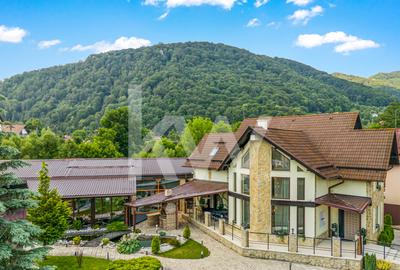 Vilă spectaculoasă lângă Castelul Bran cu piscină și cramă COMISION 0% - 6