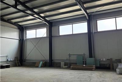 Spatiu 650 mp - Showroom Comercial - Depozitare - 18