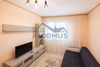 Garsonieră compartimentată în 2 camere - Blv. Republicii - Mobilată - 3