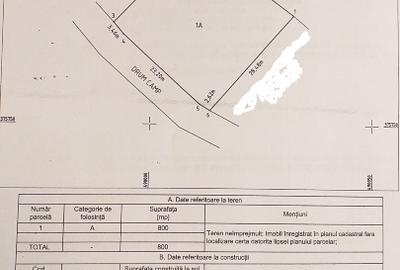 Teren intravilan 800 mp – Mărăcineni, Argeș – 32.000 EURO - 4