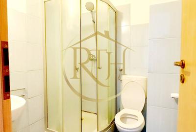 Oferim spre inchiriere, apartament 1 camera, studio, Zona Soarelui - 12
